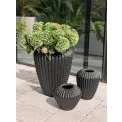 Donica Cactus 37x29cm anthracite - 4