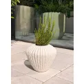 Donica Cactus 28x32cm szeroka white - 2