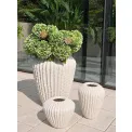 Donica Cactus 28x32cm szeroka white - 4