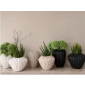 Donica Cactus 28x32cm szeroka white - 13