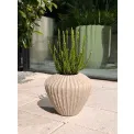 Donica Cactus 28x32cm szeroka beige - 2