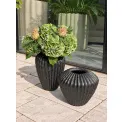 Donica Cactus 28x32cm szeroka anthracite - 3
