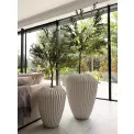 Donica Cactus XL 88x66cm white - 9
