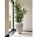 Donica Cactus XL 88x66cm white - 13