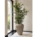 Donica Cactus XL 88x66cm beige - 11