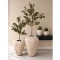 Donica Cactus XL 88x66cm beige - 9