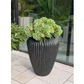 Donica Cactus XL 88x66cm anthracite - 2