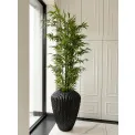 Donica Cactus XL 88x66cm anthracite - 13