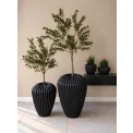 Donica Cactus XL 88x66cm anthracite - 10