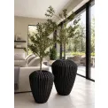 Donica Cactus XL 88x66cm anthracite - 11