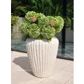 Donica Cactus 65x52cm white - 2
