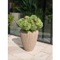 Donica Cactus 65x52cm beige - 2