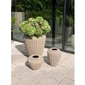 Donica Cactus 65x52cm beige - 3