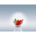 Miseczka Boston 11,7cm 250ml - 7