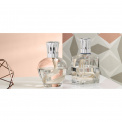 Essential Round Fragrance Lamp + 2 Scented Oils 180ml - 2