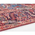Dywan Asmar 120x160cm Amata Orient Red - 7