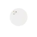 Patera Cinnamon Stars 23cm - 2