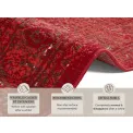 Dywan Celebration 80x250cm Plume Red - 4