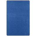 Dywan Nasty 80x150cm Blue - 2