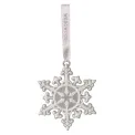 Snowflake Charm 10cm Grey Neo - 1
