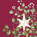 Serwetki 25x25cm Silent Christmas Star Red 20szt. - 1