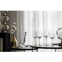 Allegorie Premium Bordeaux Glass 1002ml - 5
