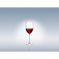 Allegorie Premium Bordeaux Glass 720ml - 8