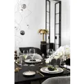 Allegorie Premium White Wine Glass 460ml - 10