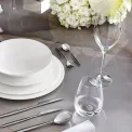 Allegorie Premium White Wine Glass 460ml - 8