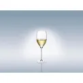 Allegorie Premium White Wine Glass 460ml - 3