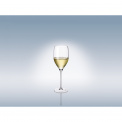 Kieliszek Allegorie Premium 460ml do wina białego - 8