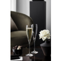 Allegorie Premium Champagne Glass 260ml - 2
