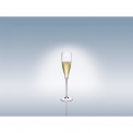 Allegorie Premium Champagne Glass 260ml - 8