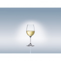 Set of 4 Entree Wine Glasses 310ml for White Wine - 2