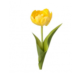 Tulipan 36cm żółty