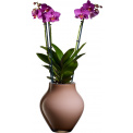Oronda Vase 17cm Natural Cotton - 2