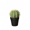 Cactus Decoration 25.5x12.5cm - 1