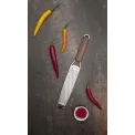 Master Series Set of 2 Graters, Extra Coarse and Blade - 7
